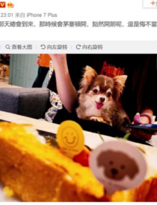 郭碧婷关评论。似乎对自己当前处境并不满意