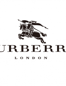 毛呢大衣品牌有哪些？揭秘毛呢大衣十大品牌排行榜