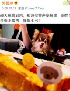 向太回应郭碧婷深夜发文，一种正能量的传递，却被误解