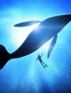 罗列世界上最大的动物排行榜，蓝鲸重181吨（相当于25只非洲象）简直了