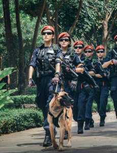 女特警