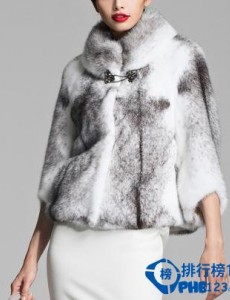 揭秘貂皮大衣品牌排行榜 你最喜欢哪几款？