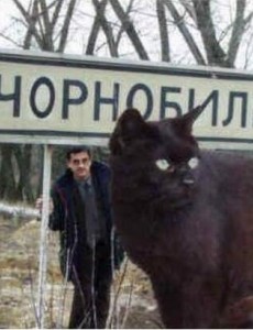 世界上最大的猫能有多大,乌克兰巨猫Angie(重726斤/核辐射异变)巨型猫