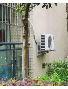 四川一小区绿化带发现男尸，路过行人看不清里面